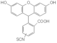 5(6)-異硫氰酸熒光素（5-FITC）