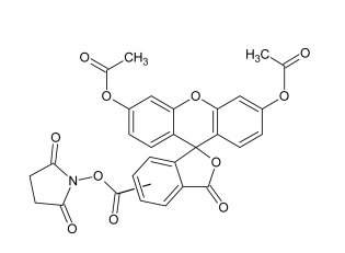 5-FAM|（5(6)-羧基熒光素二乙酸琥珀酰亞胺酯）