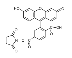 5-FAM|6-羧基熒光素琥珀酰亞胺酯