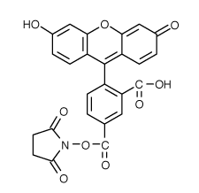 FAM|5-羧基熒光素琥珀酰亞胺酯