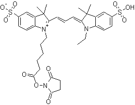 cy3-N-羥基琥珀酰亞胺酯